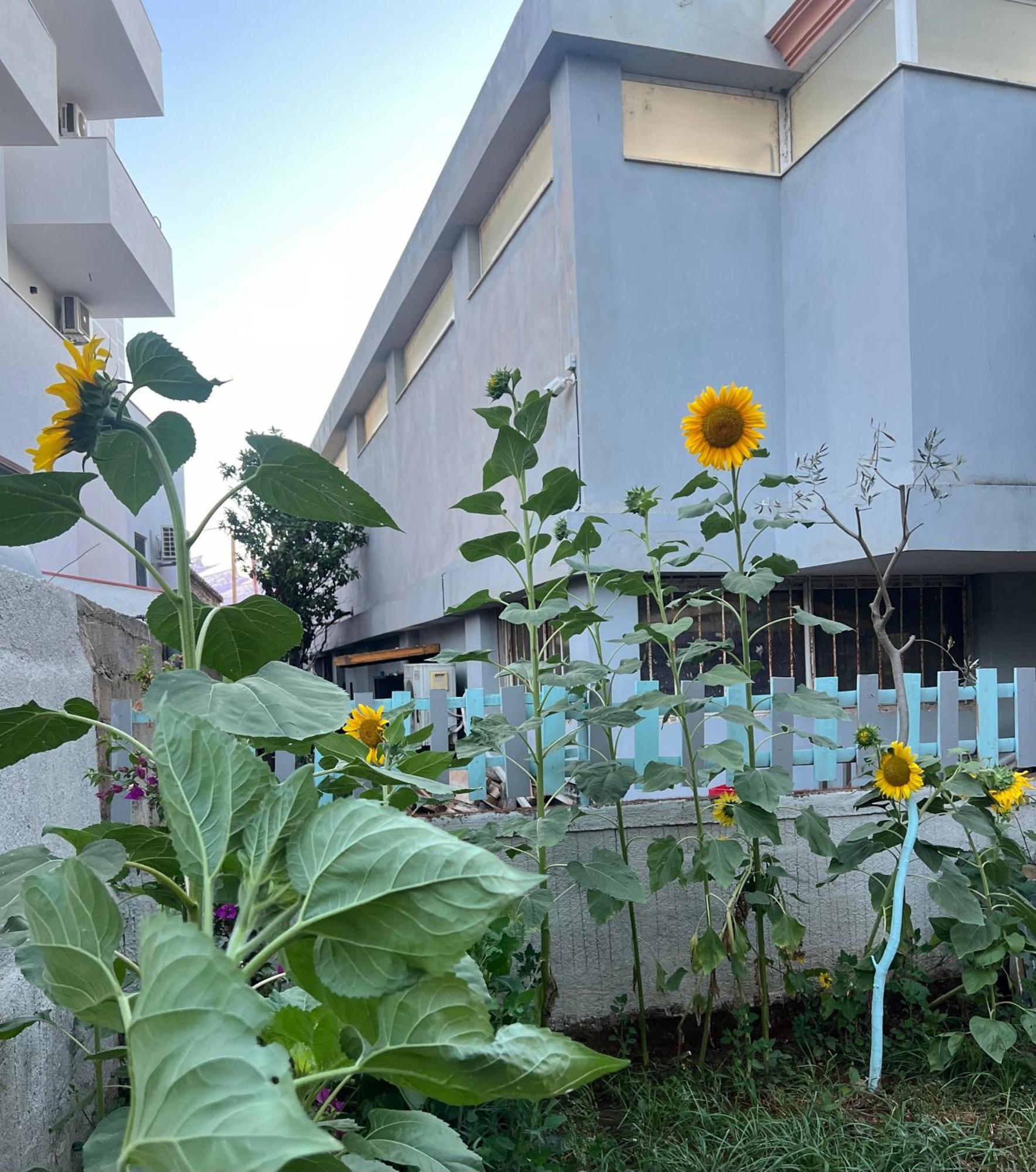 Sunflower Hotel Ksamil Exterior foto